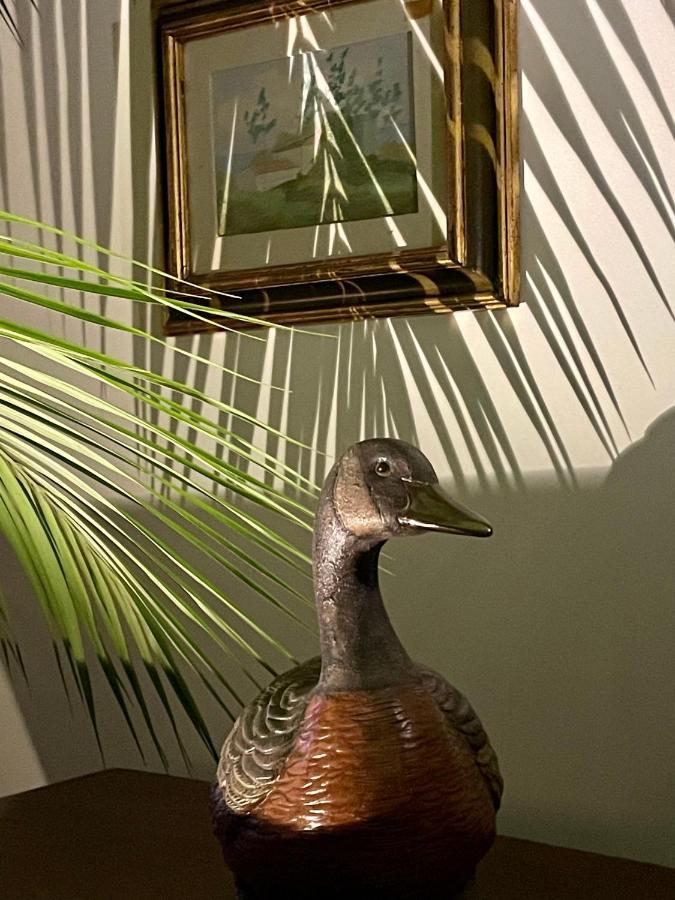 ホテル Da Cristina Palazzo Atanasio パレルモ エクステリア 写真